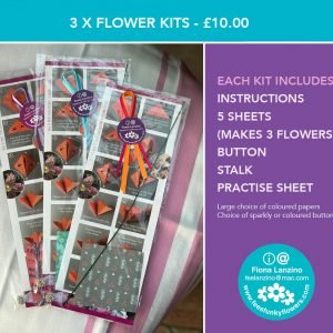 3 x Flower Kits (Colour)